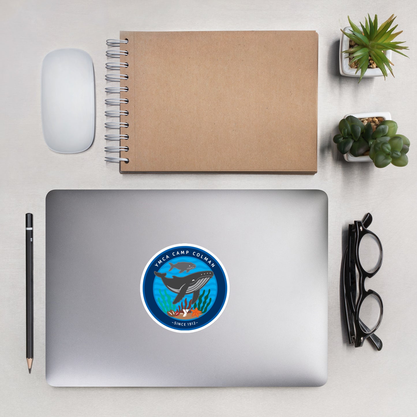 Coastal Swim Sticker