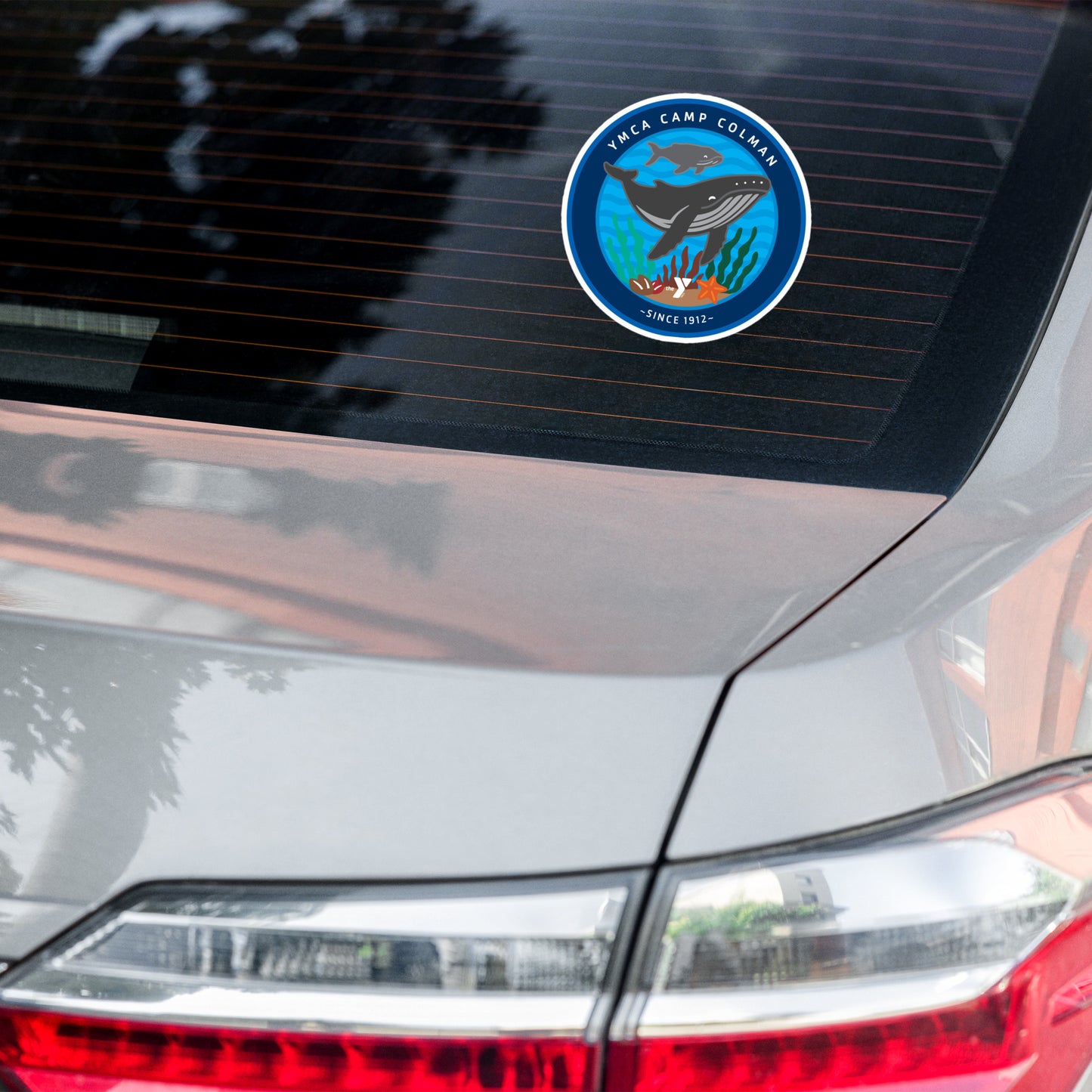 Coastal Swim Sticker