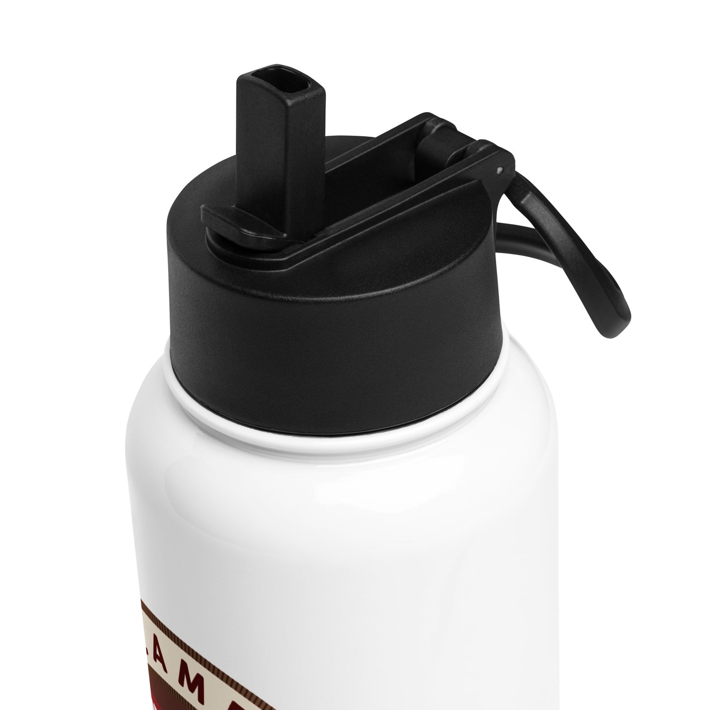 Pacific Paddle Insulated Water Bottle