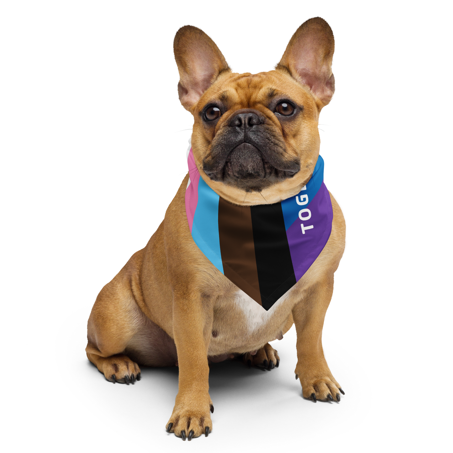 Together with Pride Bandana